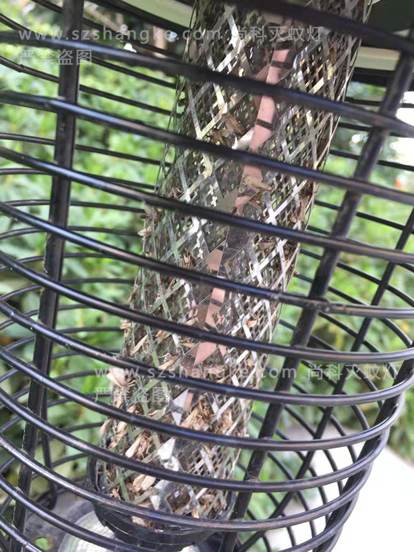 天熱了蚊子來了，別墅庭院太陽能滅蚊燈